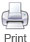 Print icon